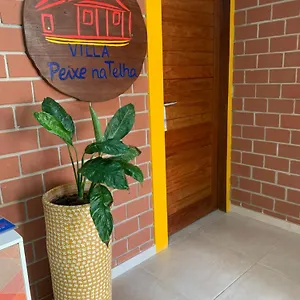 Peixe Na Telha 2*, Pôrto das Galinhas Brasil